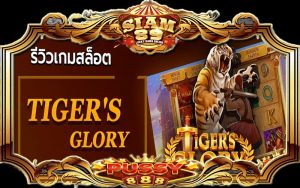 รีวิวเกม Tiger Glory Pussy888