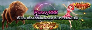 ข้อดีและข้อเสีย ของค่ายเกม pussy888 ที่ควรรู้